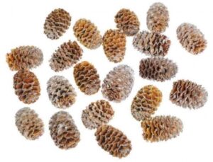 Čiekuri Meridianum 2,5- 3 cm , 200 gr / 200-401