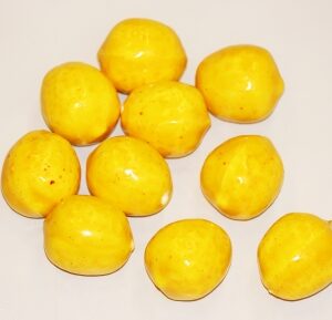 Citroni 180-721 / 4 cm, 10 gab