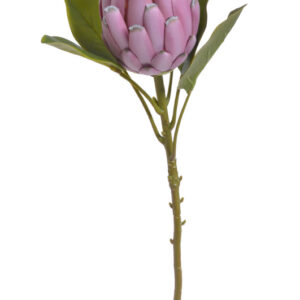 Mākslīgā protea 110-731