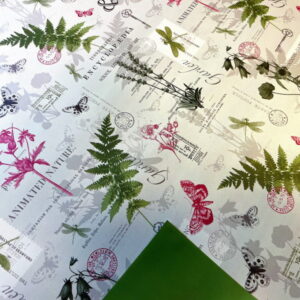 Folija