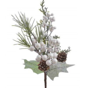 Ogu zariņš 120-225