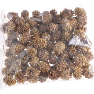 Čiekuri Salignum 3- 3,5 cm , 200 gr / 200-109