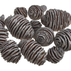 Sausie augi - Platyspermum  200 gr / 200-106