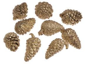 Čiekuri /Blue Pine/ 500 gr / 200-488
