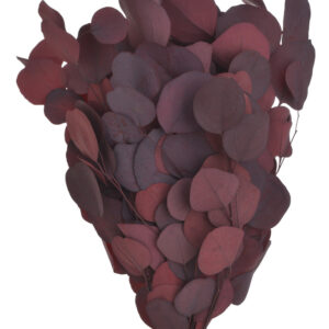 Eikalipts - kaltēts augs,150 gr/ 200-126