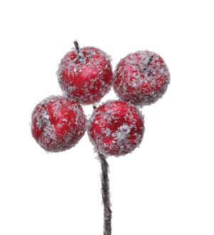 Āboli sarkani apsniguši  2,5 cm, 4 gab / 120-710