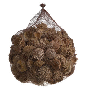Sausie augi -Acorn Cones 1kg / 200-117