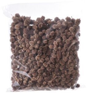 Sausie augi -Casuarina pākstis 500 gr / 200-114