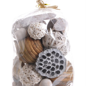 Dekoratīvo eksotisko augu kompl. 16 cm x 10 cm x 22 cm / 200-27