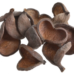 Badam - eksotiski žāvēti augi 8cm-11cm, 10gab / 200-29