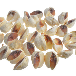 Sausie augi - Hakea galviņas 200 gr / 200-08